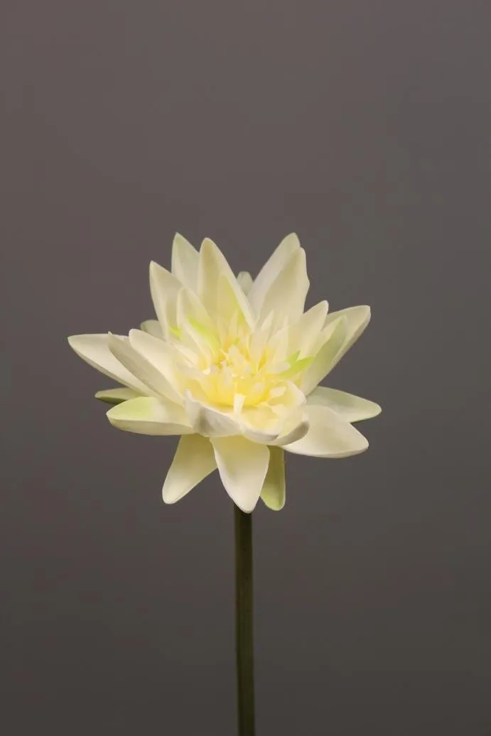 Artificial Flower Water Lily real touch floramatique SB005 (Yellow) -REA1-7