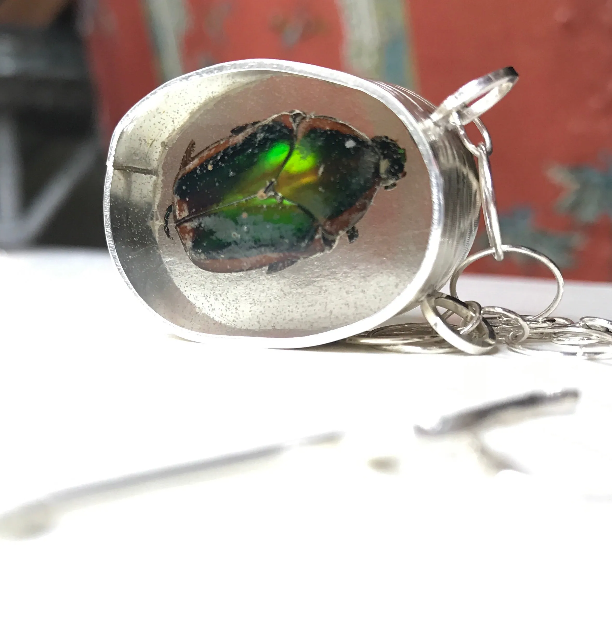 Encapsulated June Beetle silver necklace